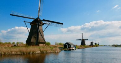 brown wind vane